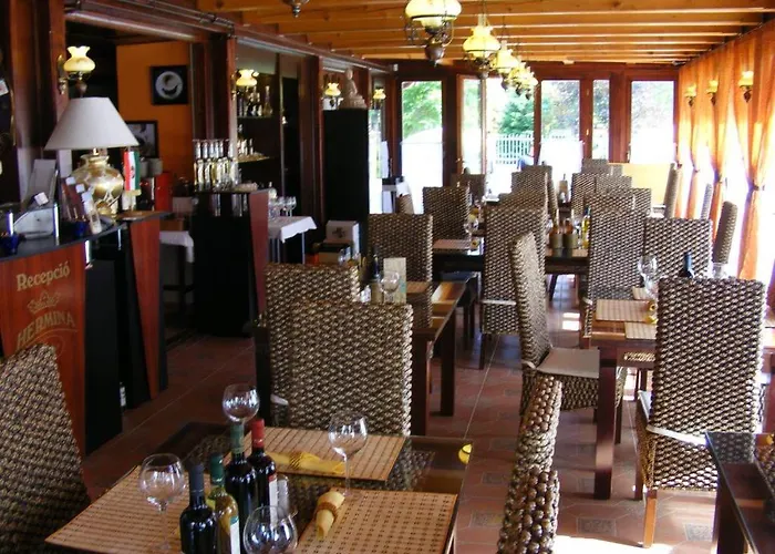 住宿加早餐酒店 Hermina Panzio 4*