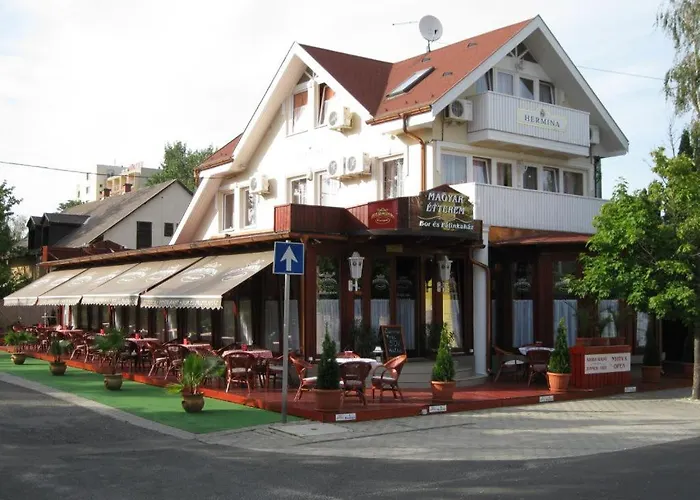 Hermina Panzio 4* 希欧福克