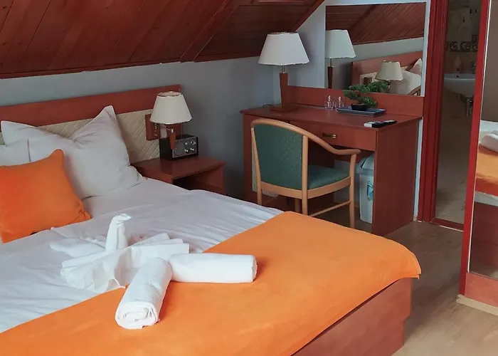 Hermina Panzio 4* 希欧福克